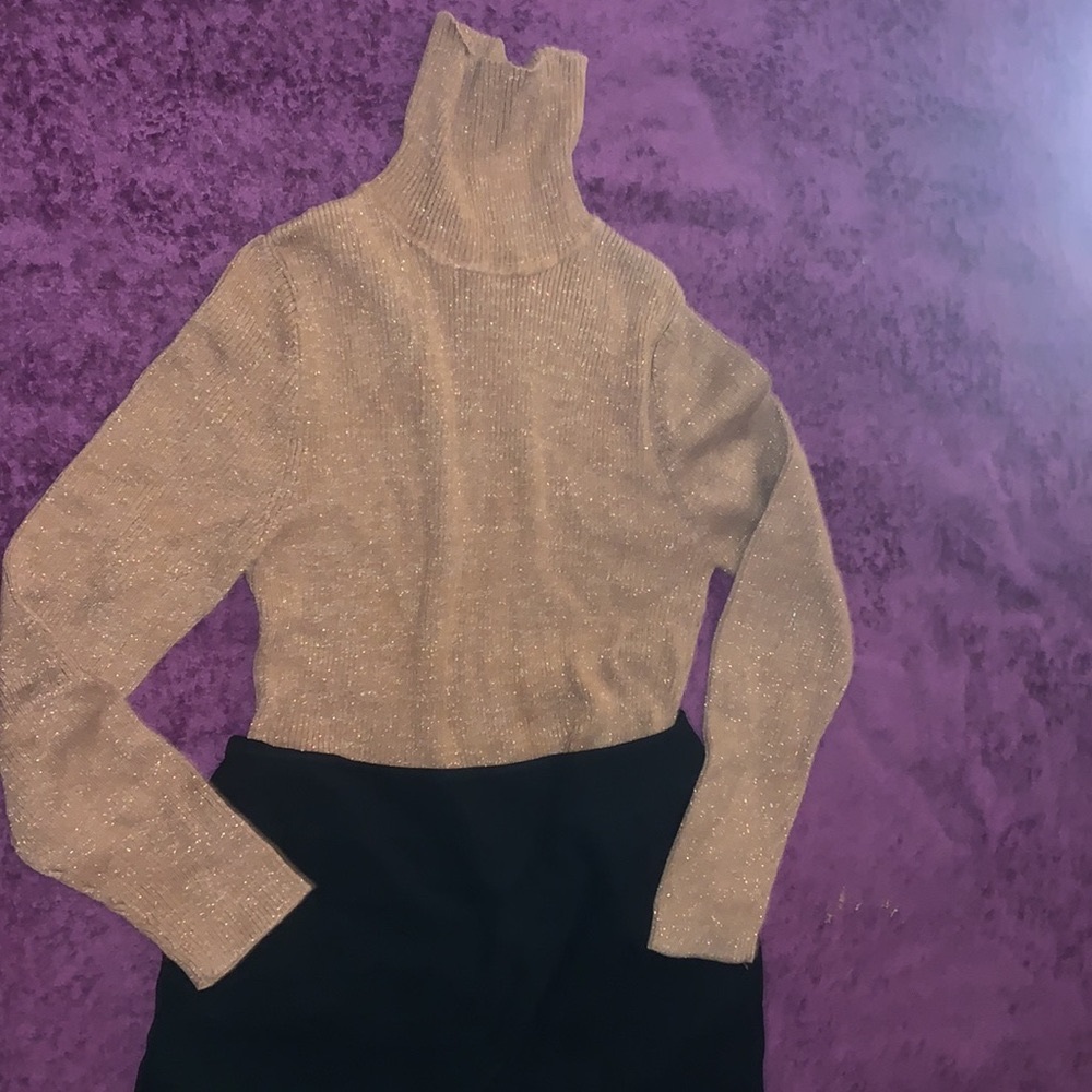 Talbots skirt + sweater bundle